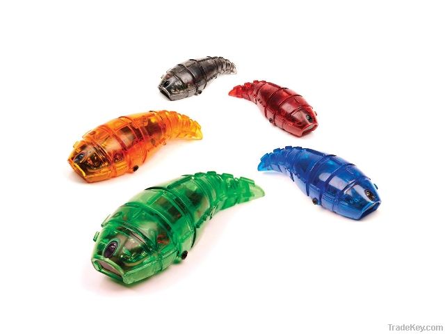 hexbug larvae