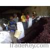 SELL DRIED HIBISCUS FLOWER