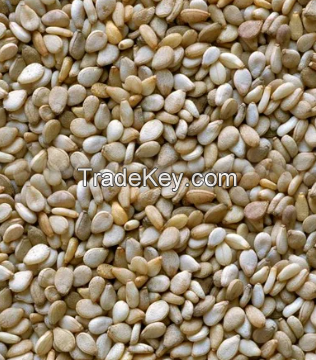 SESAME SEEDS