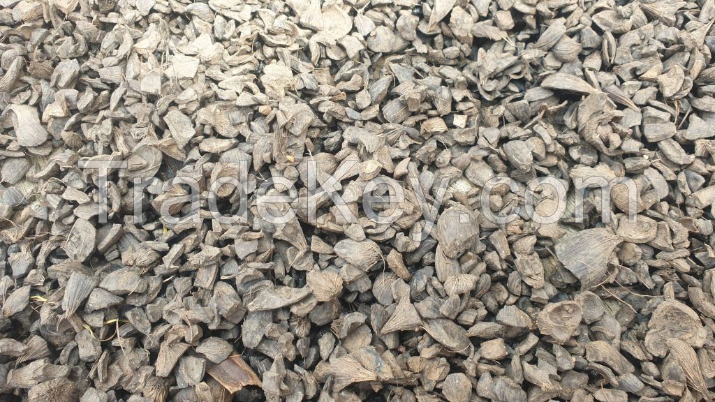 PALM KERNEL SHELL