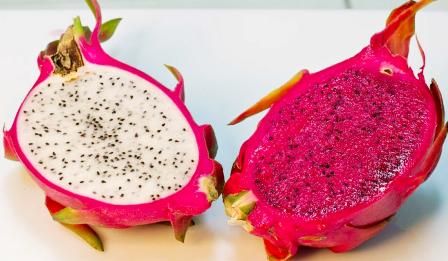 Fresh Dragon Fruit