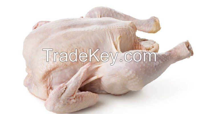 GRADE A HALAL WHOLE FROZEN/FRESH CHICKEN