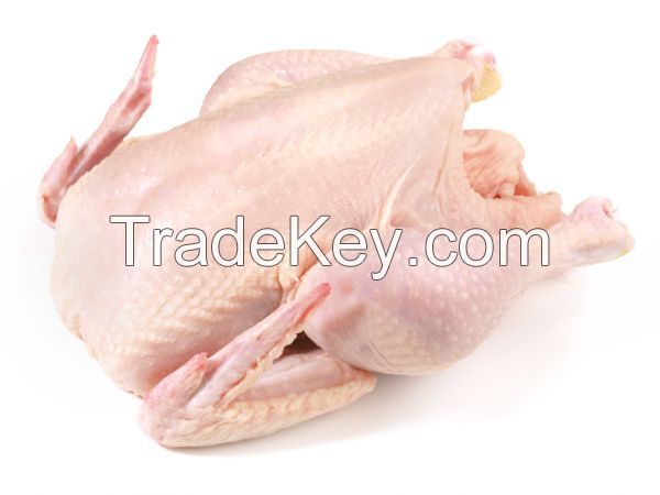 GRADE A HALAL WHOLE FROZEN/FRESH CHICKEN