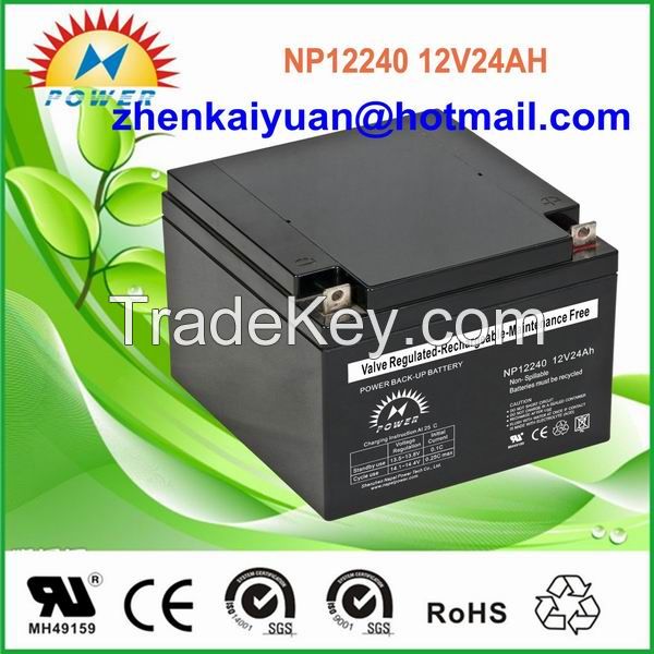 NP12V24AH LEAD ACID BATTERY