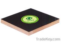 black film faced plywood