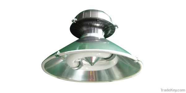 Induction light