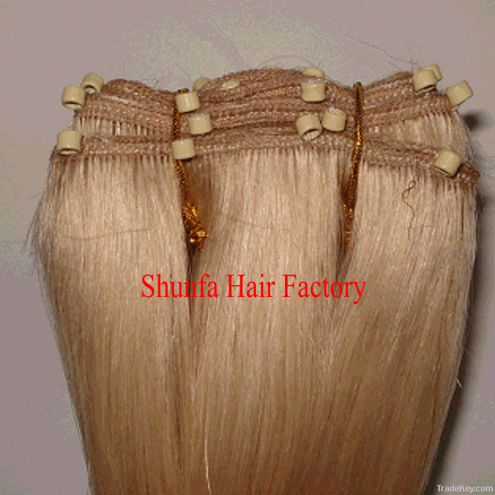 Human virgin hair weft