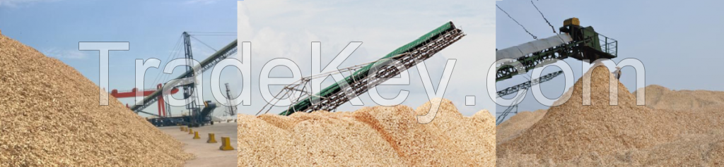 Eucalyptus and Pine Wood Chips and Logs