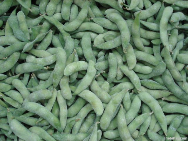 Chinese frozen soy bean kernel