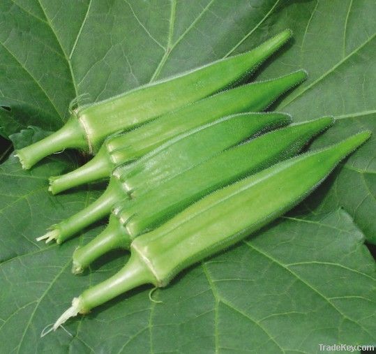 Supply Frozen okra