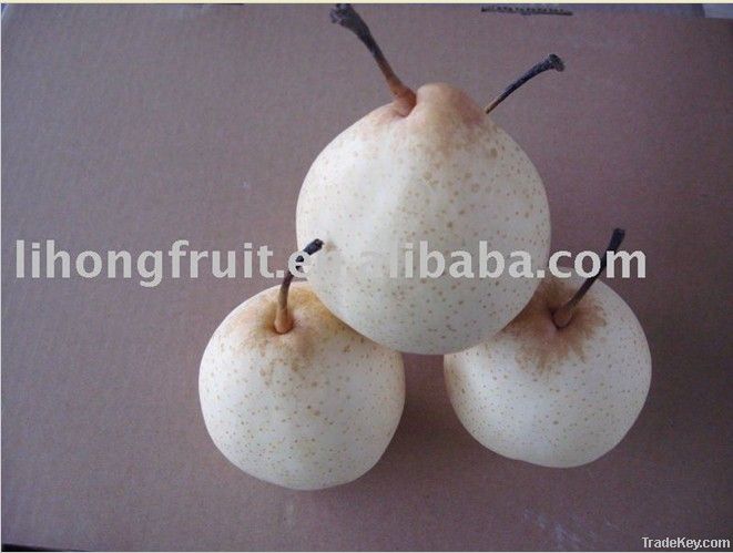 china ya pear