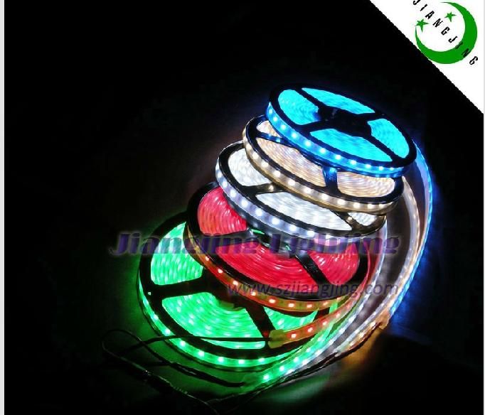 magic color 12V/24V 3528 waterproof RGB 5M/Roll led flexible strip lig