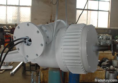 high performance-price ratio Wind turbine