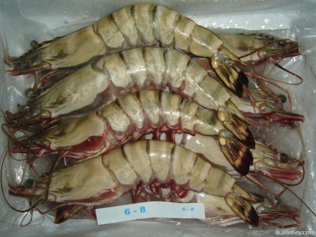 Black Tiger Prawns