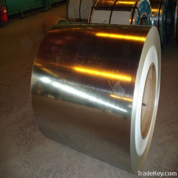 Galvanized Steel Coil