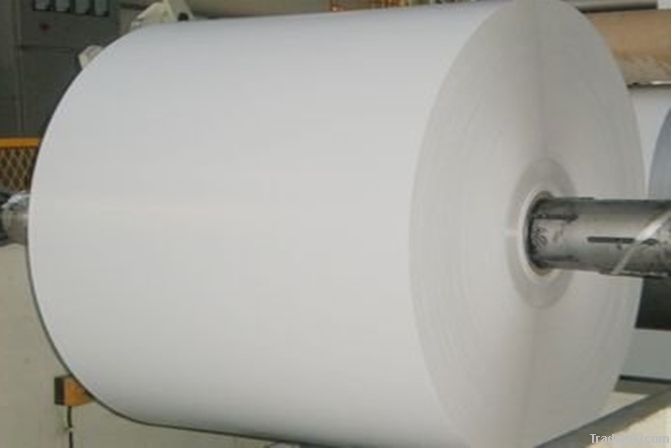 PE Coated Paper