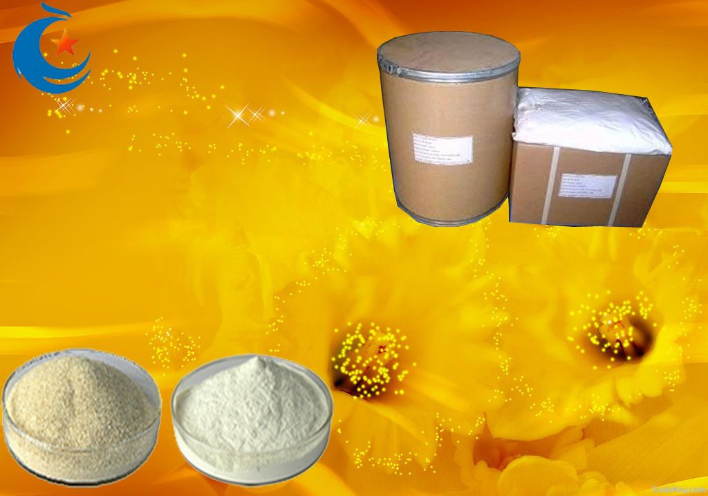 sodium alginate-printing paste