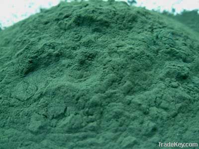 Spirulina powder capsules tablets in from Chennai India