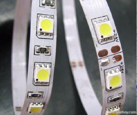 SMD5050 LED Strip light