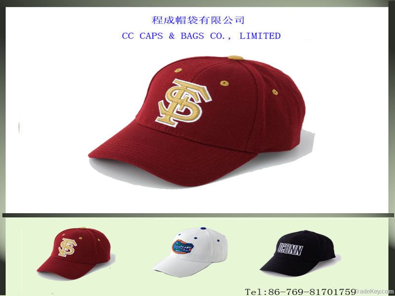 hats and caps ccap-04