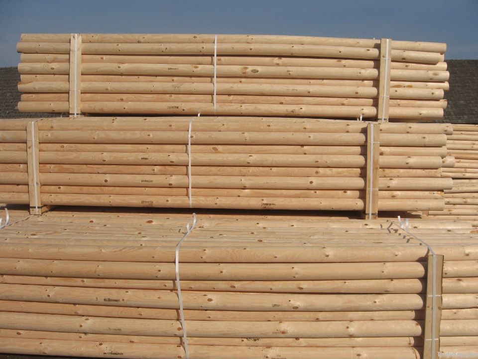 Pine logs, pine stakes