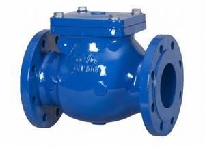 DIN cast iron F6 swing check valve