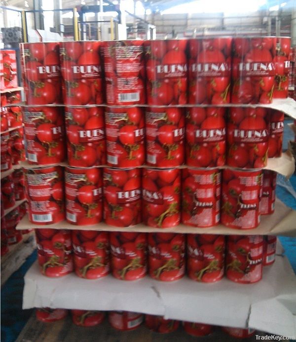 4500g Tomato Paste