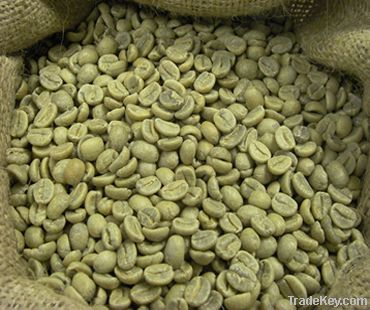 Export Robusta Coffee Beans | Robusta Coffee Bean Importer | Robusta Coffee Beans Buyer | Buy Robusta Coffee Beans | Robusta Coffee Bean Wholesaler | Robusta Coffee Bean Manufacturer | Best Robusta Coffee Bean Exporter | Low Price Robusta Coffee Beans | B