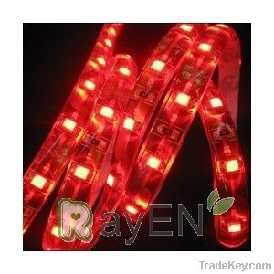 3528 led flexible strip(60leds per meter)