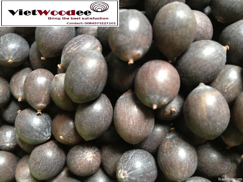 Lotus Seed high quality