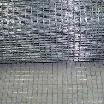 Stainless Steel &amp; Galvanized Welded Wire Mesh