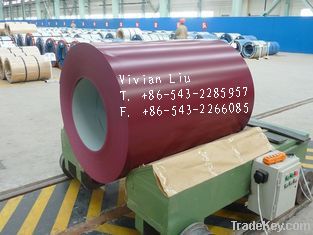 Color coated steel coil PPGI