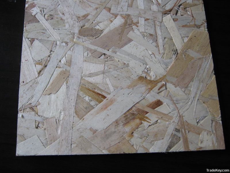 Plain Oriented Strand Board