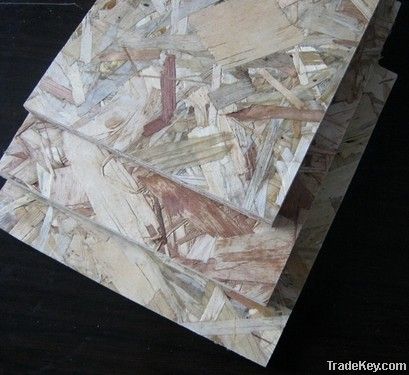 Plain Oriented Strand Board