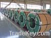 Steel Coils