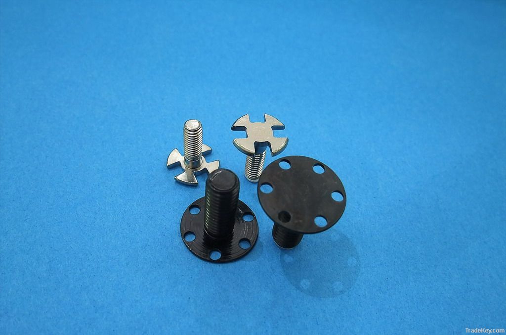 Special head screw