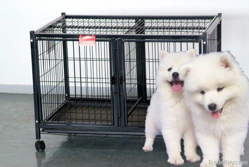 Metal folding dog cage with wheels