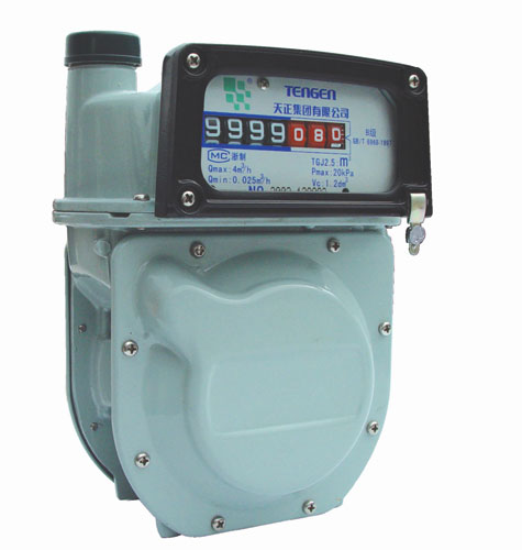 GAS METER