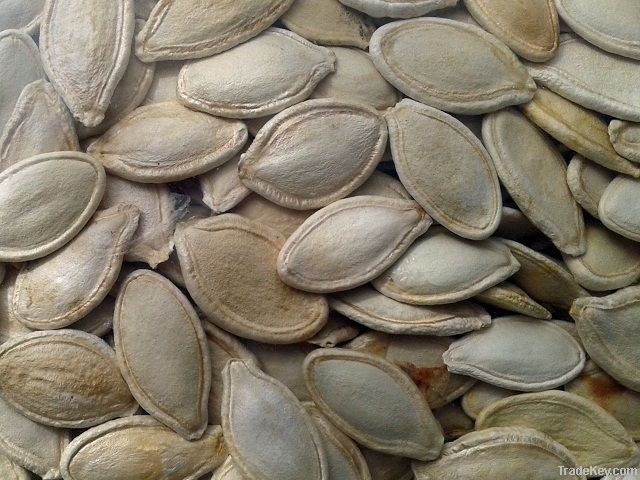 Pumpkin Seeds