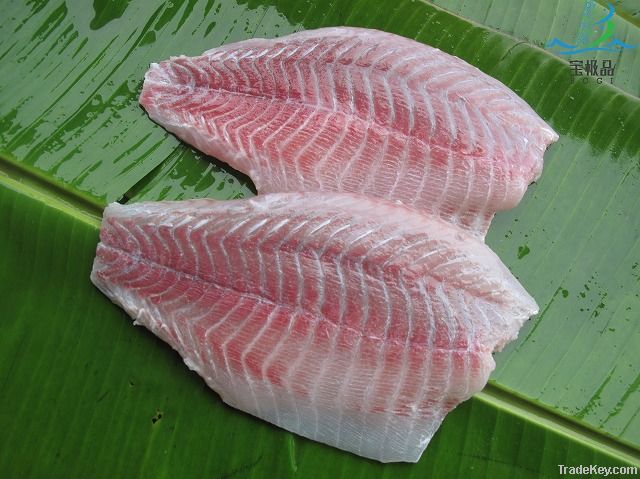 Barramundi