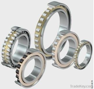 Taper Roller Bearing