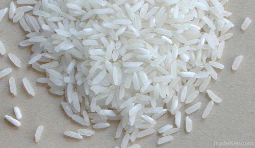 irri-6 and basmati and sella super rice