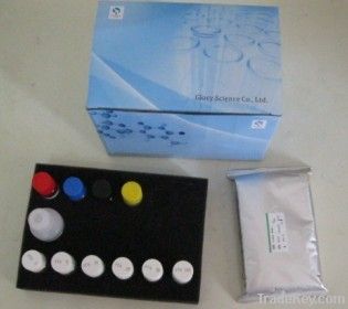 Human Arachidonic acid -5 - lipoxygenase(ALOX-5) ELISA kit