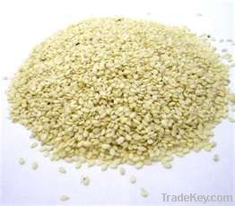 Sesame Seeds