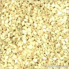 Sesame Seeds