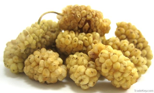 Organic Dried Mulberries