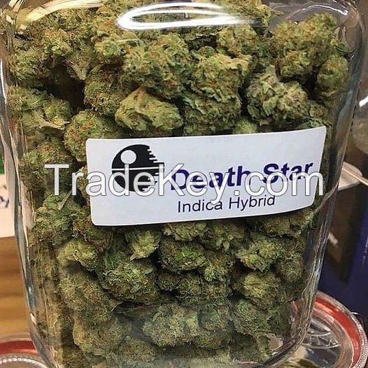 Banana 99 THC 18.9%  CBD 0.10%   Contact us  whatsapp +12342072889