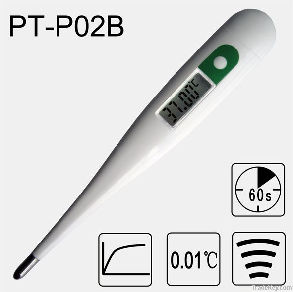 Digital Thermometer