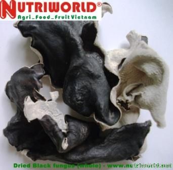 DRIED BLACK FUNGUS