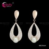 Fashion Dangle Water Long Earrings Jewelry with Luxury Pearl Pendant